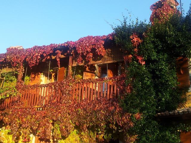 Rozina Vacation House Pliskovica Exterior foto